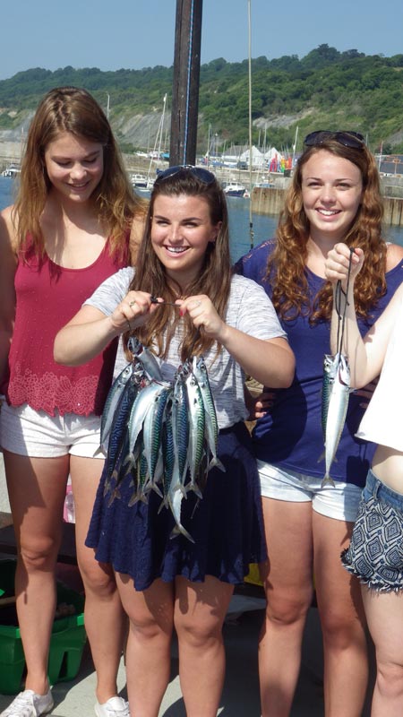 We caught mackerel